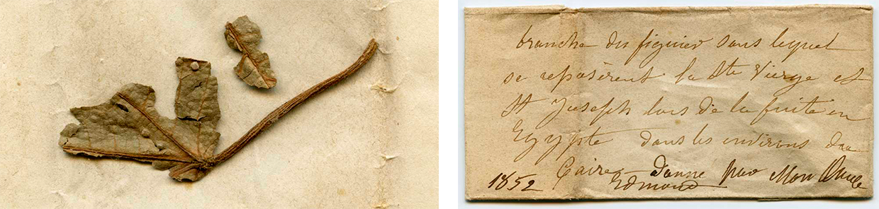 A leaf that was broken off from the Virgin Tree by a Belgium pilgrim in 1852(L). The leaf was wrapped in this paper which had a note in French saying the following: "A branch from the fig tree around Cairo under which rested the Virgin Mary and Saint Joseph during their flight to Egypt." (R) Norbert Schiller Collection