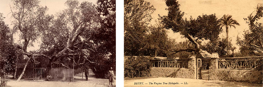 In the 1880s a fence  surrounded  the Virgin's Tree  (L). In the early 1900s a wall was build to protect the tree. Phot. (left) Zangaki, Norbert Schiller Collection